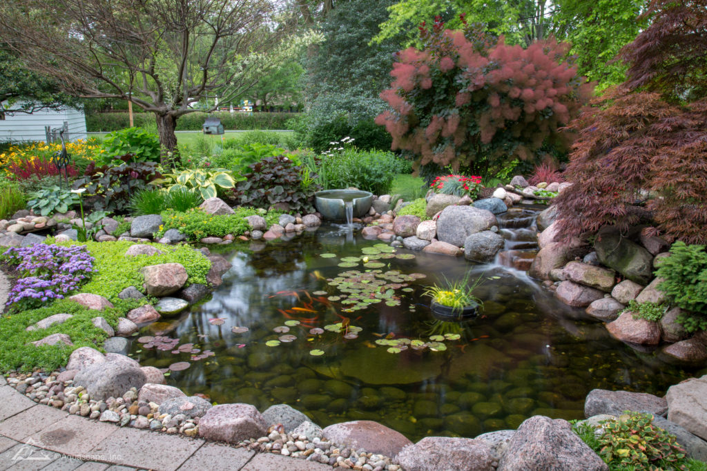 Guide: How to Maintain a Water Feature After Installation