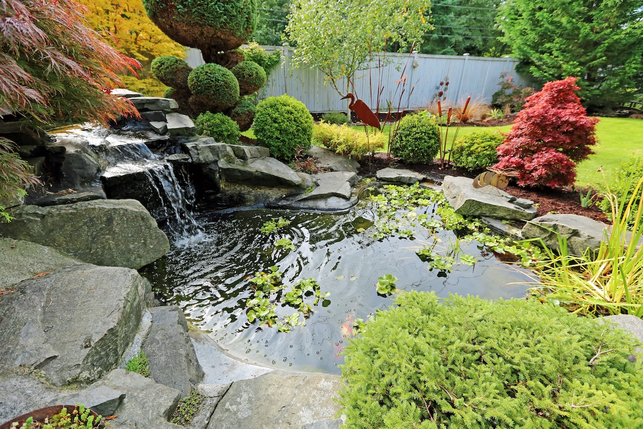DIY mini pond %how to build a pond %small pond %garden pond, image size:1280x853