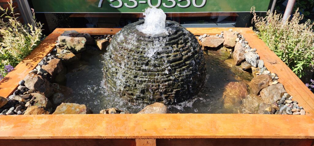How Much Does a Water Feature Cost for Backyard?